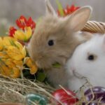 Două iepurași drăguți, unul alb și unul bej, stând într-un coș cu flori colorate.