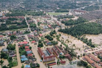 Inundatie in vis