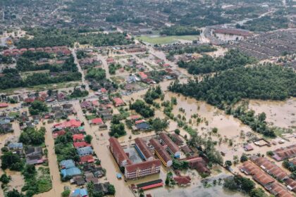 Inundatie in vis