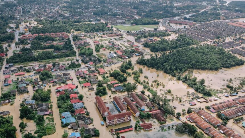 Inundatie in vis