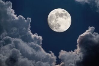 Luna in vis 1 1