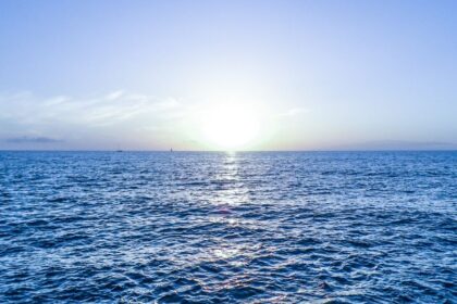 Mare in vis