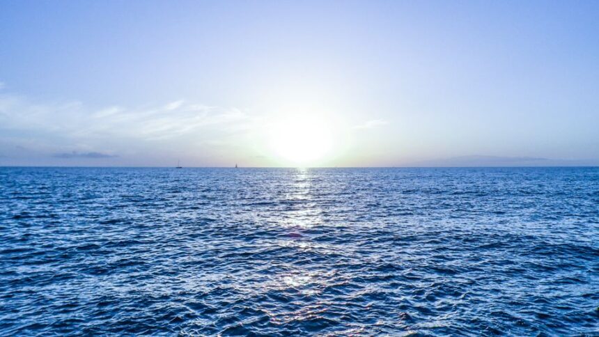 Mare in vis