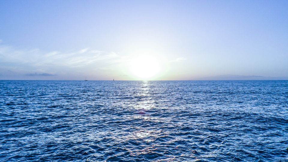 Mare in vis