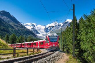 Tren in vis