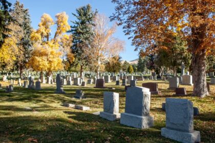 cimitir in vis