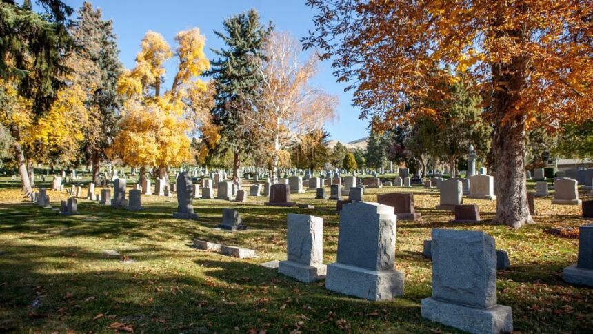 cimitir in vis