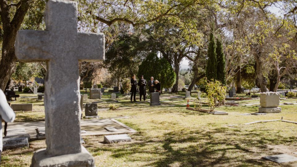 cimitir in vis 1