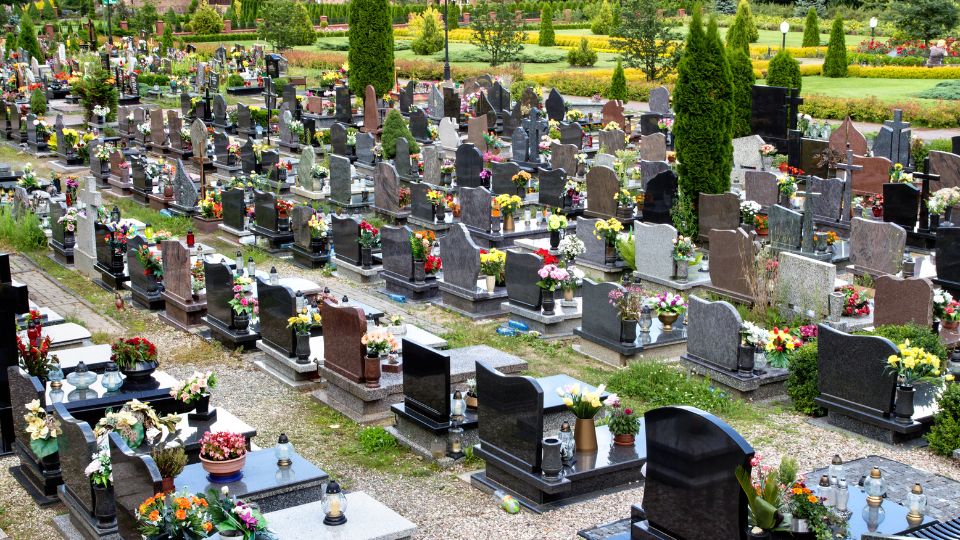 cimitir in vis 2