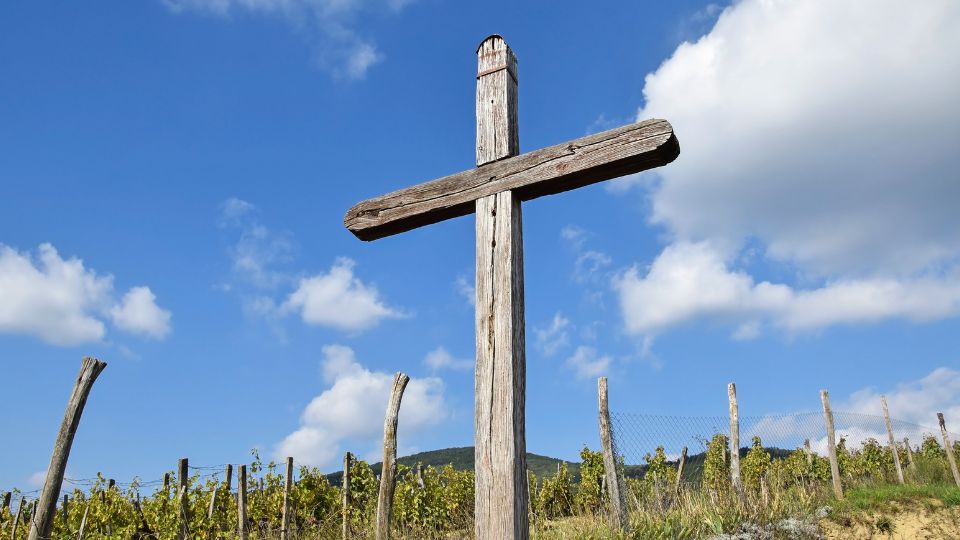 O cruce din lemn se află într-un peisaj rural, cu viță de vie în fundal și cer senin.