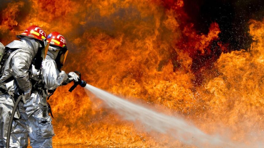 foc si il stingi