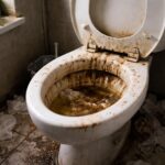 Toaletă murdară simbolizând eliberare emoțională