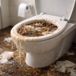 WC plin de resturi și apă, simbolizând acumularea emoțiilor